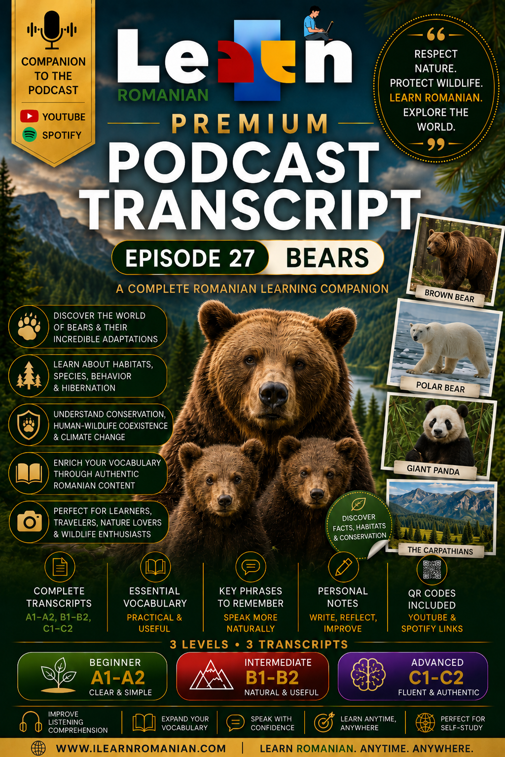 PREMIUM PODCAST WORKBOOK - EPISODE 27: BEARS